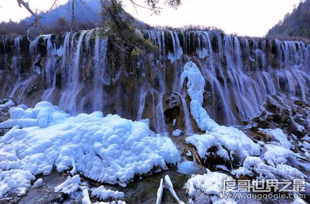 中国最宽的瀑布，九寨沟诺日朗瀑布(震后两年再开放比震前更壮观)