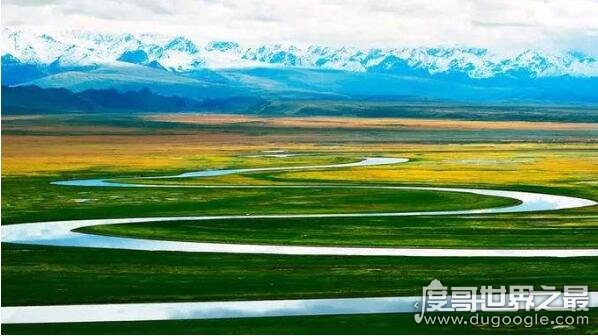 中国最美六大沼泽湿地，最自然原始的风貌让人沉浸其中