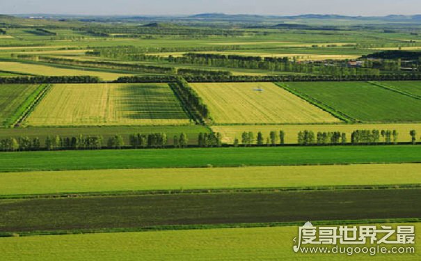 中国最大的平原，东北平原（相当于3.5亿座百平米房子）