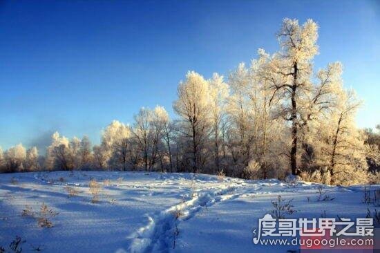 中国最纯净的地方，黑龙江伊春让你完全沉浸在天然氧吧中