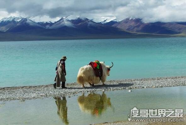 中国最神圣的地方，西藏纳木错让你的灵魂得到洗涤