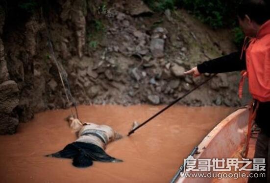 中国最神秘而恐怖的职业，黄河捞尸人遭遇不同的诡异尸体