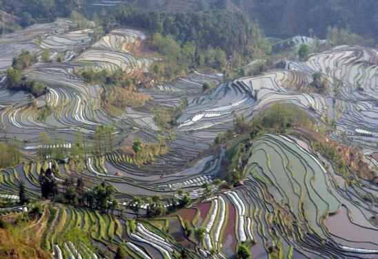 中国四大高原，世界上海拔最高的高原(青藏高原)