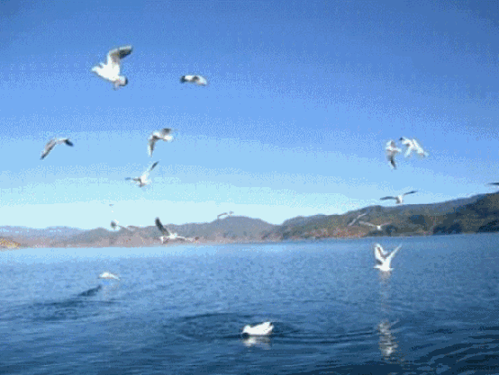 中国最大的湖泊青海湖，面积4583平方千米(中国十大湖泊排行)
