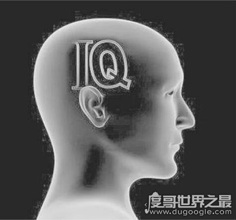 人的智商多少算正常，90-110(世界上智商最高的人IQ达350)