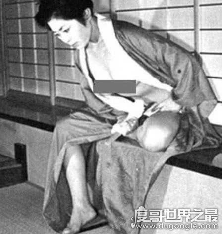 日本第一个切腹自尽的人，藤原义(日本贵族因逃避抓捕而自杀)