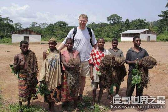 世界上最矮小的民族，非洲袖珍民族(俾格米人平均身高1米3)