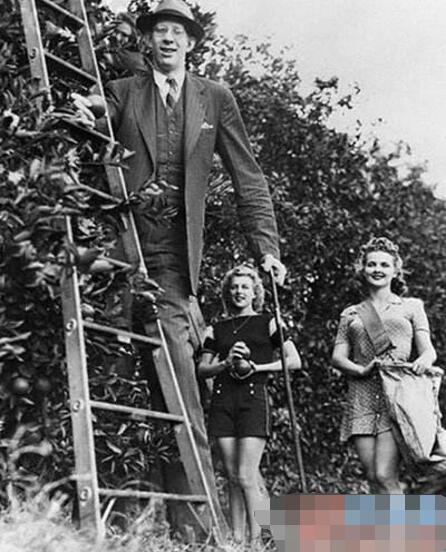 历史上最的高人，罗伯特·潘兴·瓦德罗(身高2.72米)
