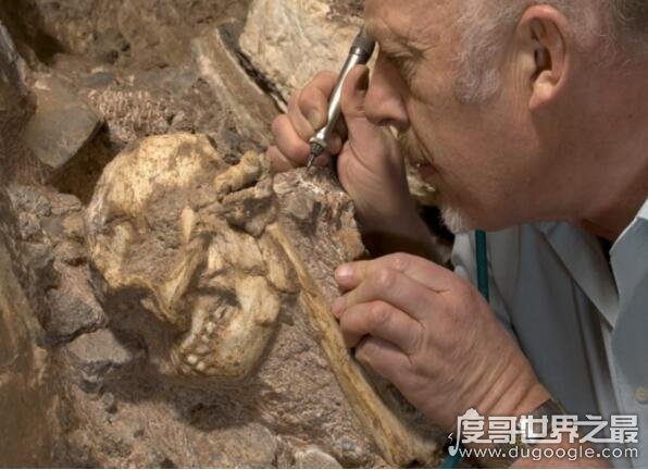 距今最早的原始人化石，比露西还早40万年(360万年)