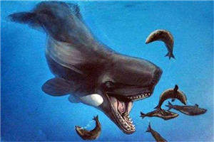 梅尔维尔鲸堪称世界上最凶猛的鲸鱼，取名来自于小说