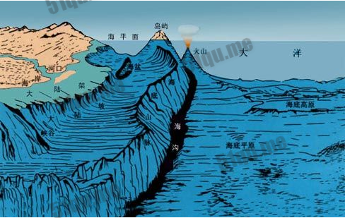 地球最深处马里亚纳海沟竟有如此多的诡异生物？