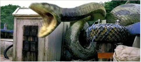 江苏射阳一村庄惊现巨蛇 传闻是龙的化身