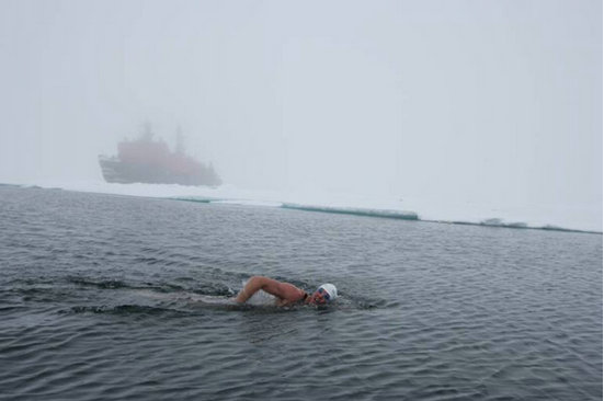 男子挑战人体机能极限 下南极海中游泳