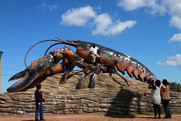 世上最大的龙虾 澳洲大龙虾