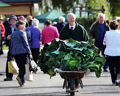 英国男子种出世上最大的花菜 创新世界纪录