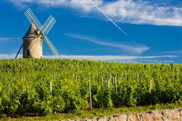 世界十大最美丽葡萄酒产区