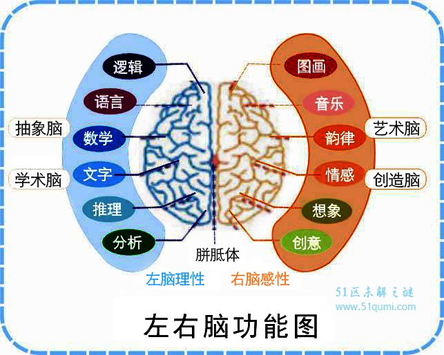 人类大脑之谜 大脑没有痛觉你知道吗?