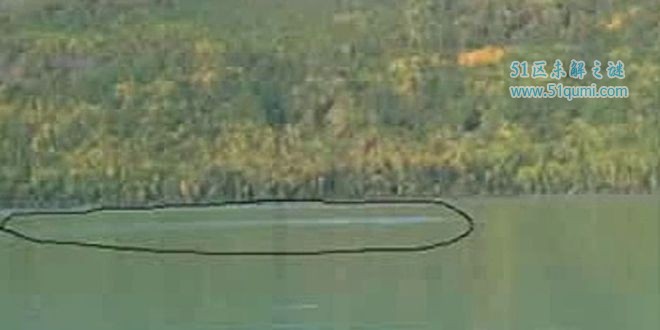喀纳斯湖水怪会是巨型哲罗鲑作祟吗?