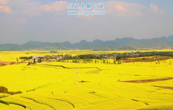 世界十大最美的地方在哪?中国罗平油菜花田入选最美地方