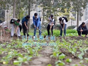 老师带学生到KTV包房上课羡慕吗?盘点教师奇葩创新教学方式