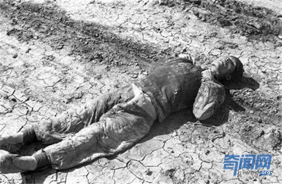 1942河南大饥荒民不聊生1942年河南大饥荒死了多少人?