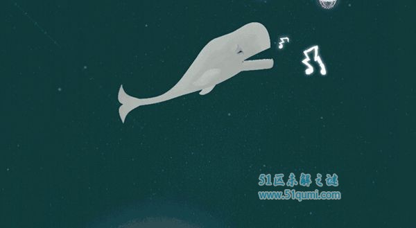 世界上最孤独的鲸鱼 
