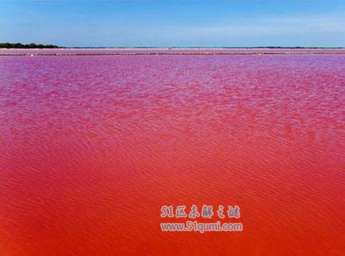 伊拉克血湖：一个由鲜血构成的湖泊?