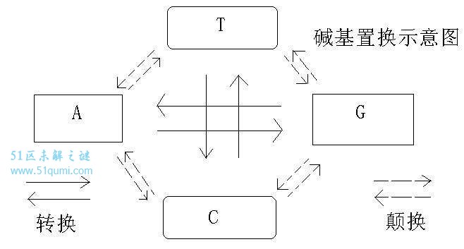 白羊诞下纯黑小羊 羊妈妈:你是谁?