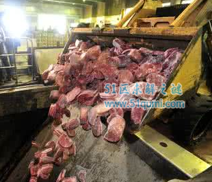 1.6吨进口牛肉含瘦肉精 瘦肉精的危害都有哪些?