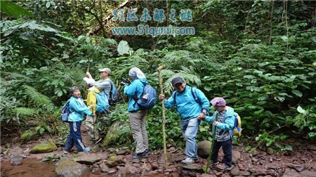 女子小腿取出活虫 热带雨林中徒步惹的祸