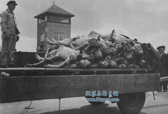 揭秘"杀人工厂"奥斯维辛罪行 奥斯维辛集中营死了多少人?