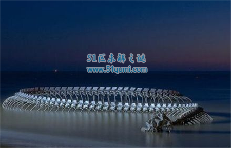 盘点世界著名海蛇怪事件：我国浙江惊现3米粗海蛇