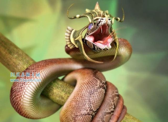 绿茸线蛇能活20万年?绿茸线蛇真的存在吗?