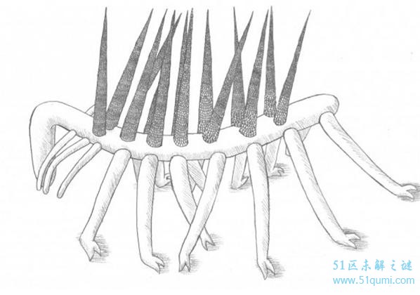 怪诞虫是什么动物?怪诞虫复长相原图首次曝光