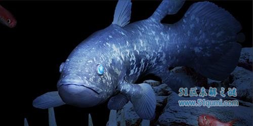 腔棘鱼:陆生脊椎动物的祖先 腔棘鱼灭绝了吗?