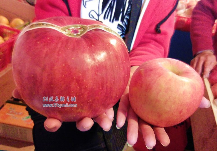 世界一号苹果:世界上最贵的苹果 288元一个想吃吗?