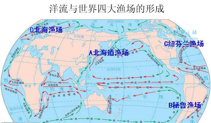 世界四大渔场介绍 它们各自形成的原因是什么?