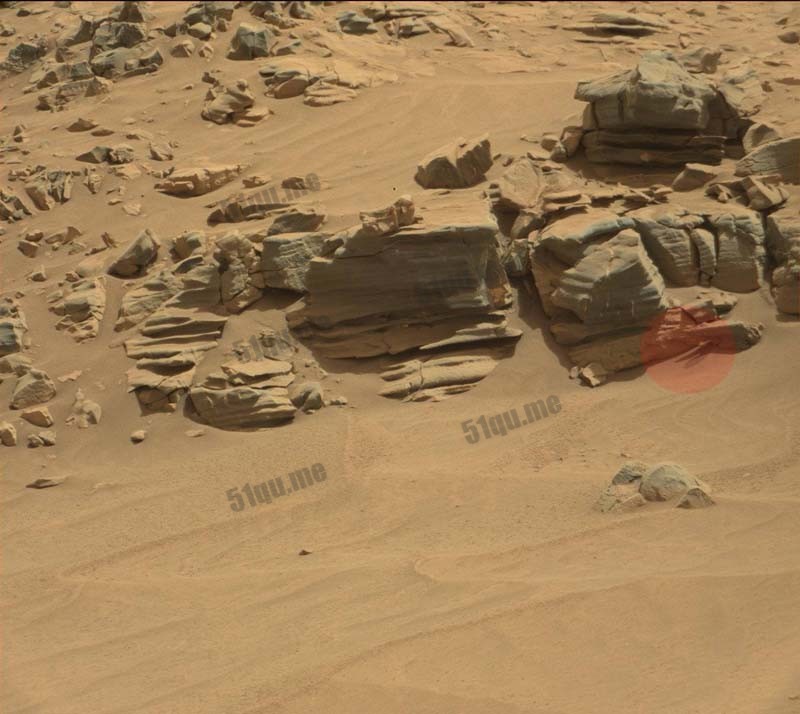 NASA拍到火星岩石下面伸出奇怪物体