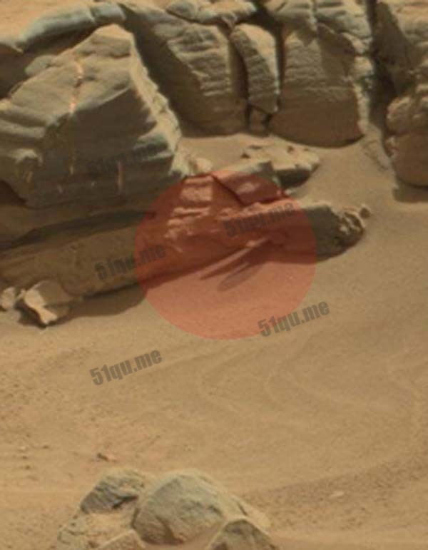 NASA拍到火星岩石下面伸出奇怪物体