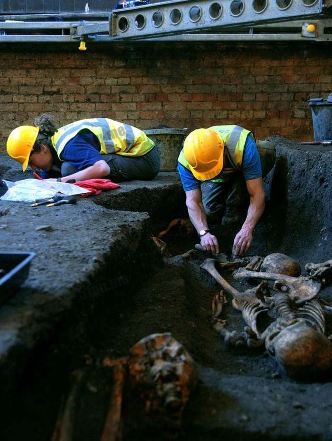 英国剑桥大学底下挖到400具完整的骨骸