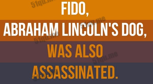 林肯的狗费多(Fido)也是被暗杀