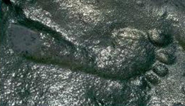 史前神秘脚印在新墨西哥州发现