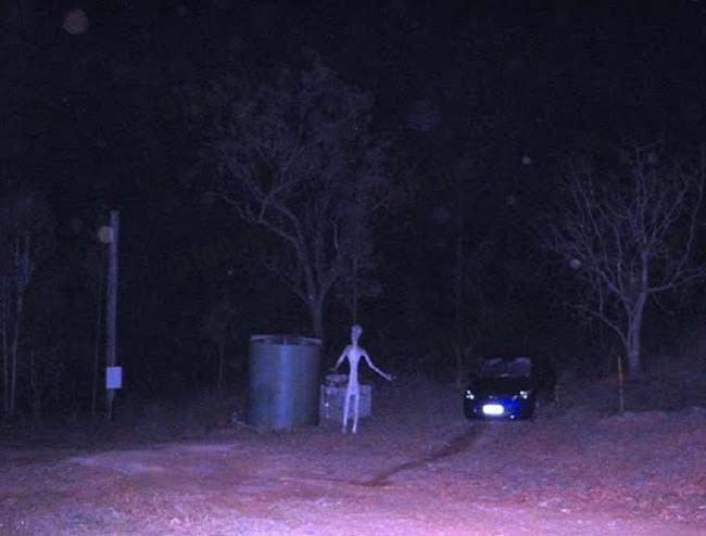澳大利亚昆士兰拍到的灰色外星人