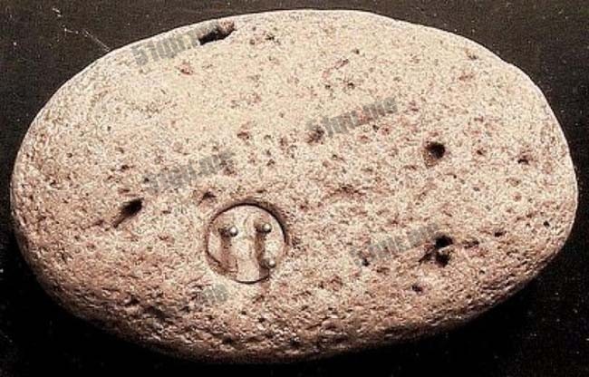 嵌在石头里的10万年前的三相插头