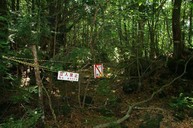 自杀森林-日本