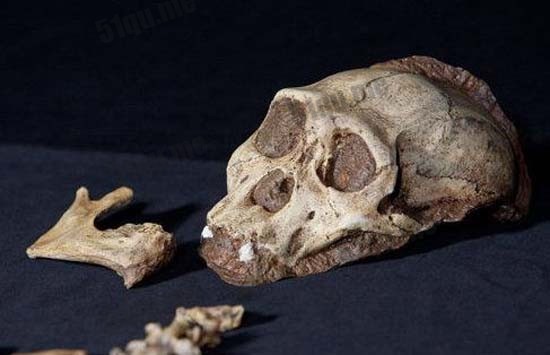 1921年北京西城发现8具3米高的史前人类骨骼