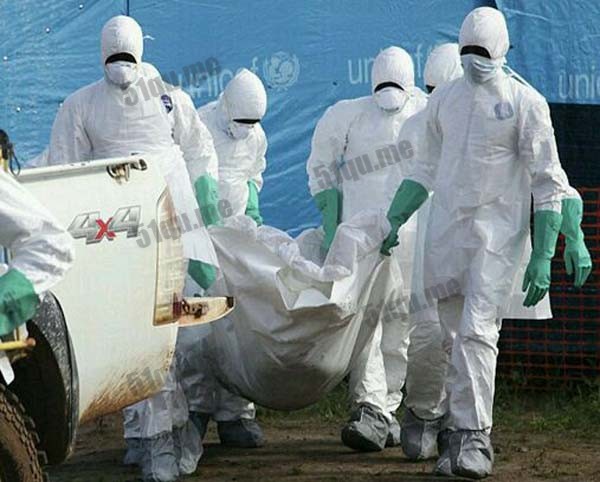 埃博拉病毒起源之谜