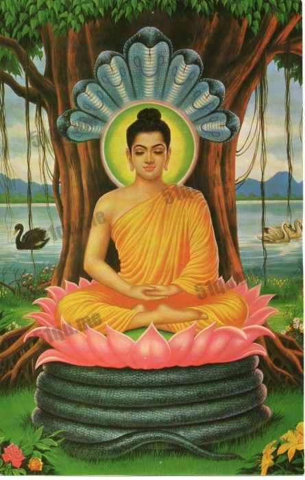 乔达摩佛陀（Gautama Buddha）