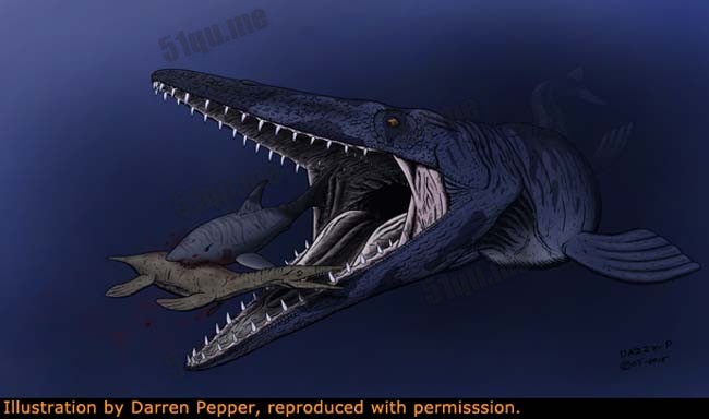 沧龙（Mosasaurus）