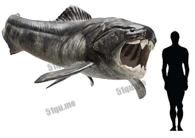 邓氏鱼（Dunkleosteus terrelli）